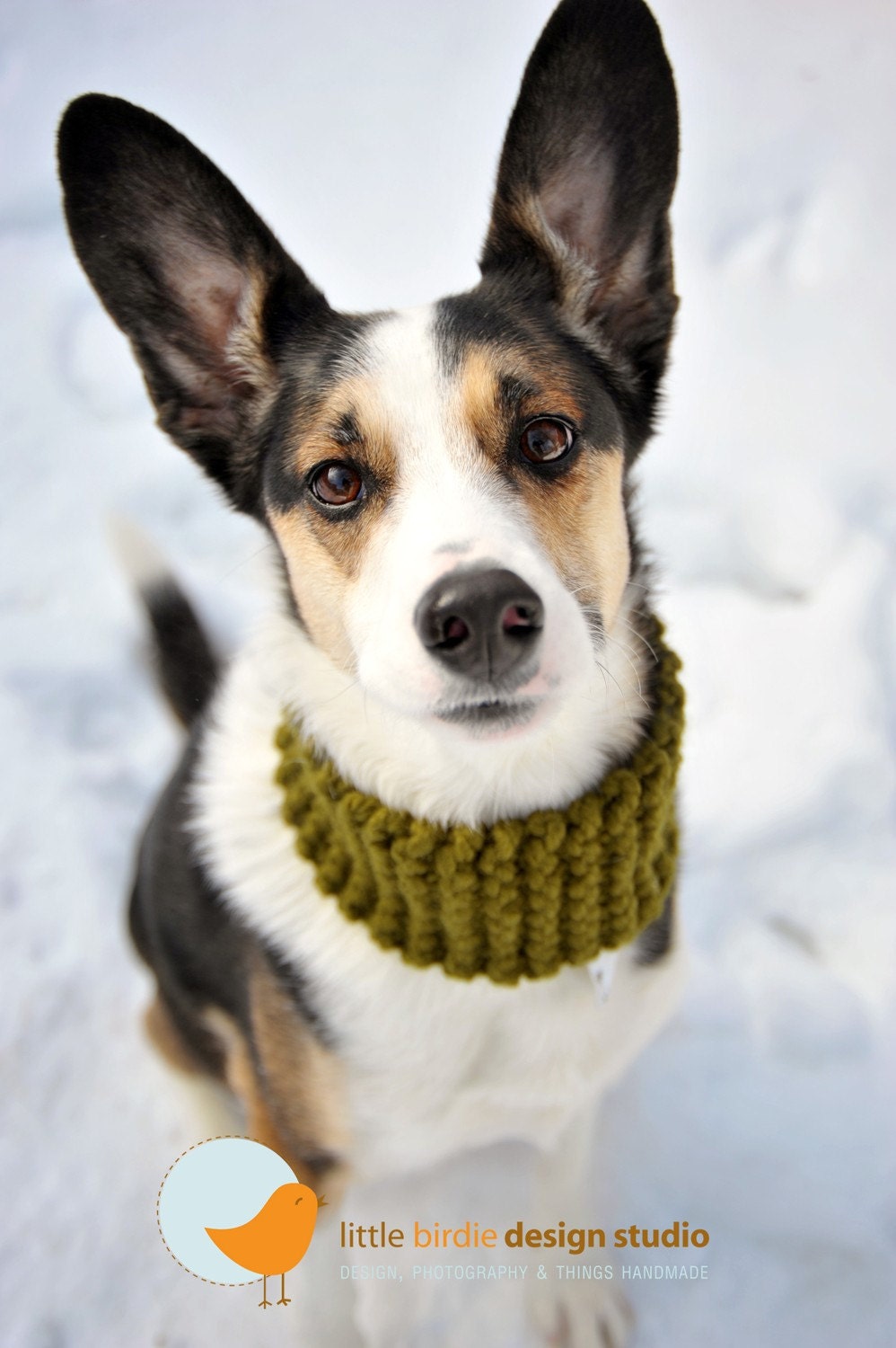 Hunter Green Doggie Neck Warmer - Med