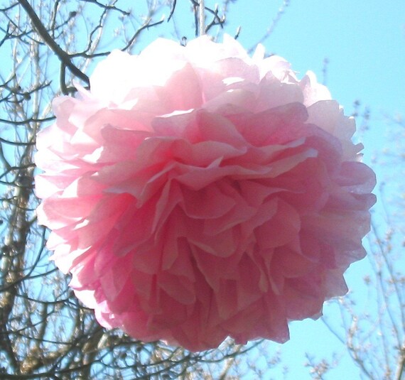 12 Unfurled tissue paper balls, poms with ribbons, 7 to 9 inch diameter