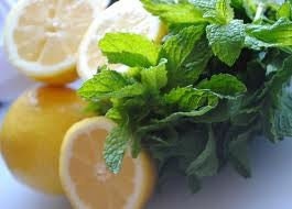 Cool Mint Lemonade Sugar Body Polish 8 oz.