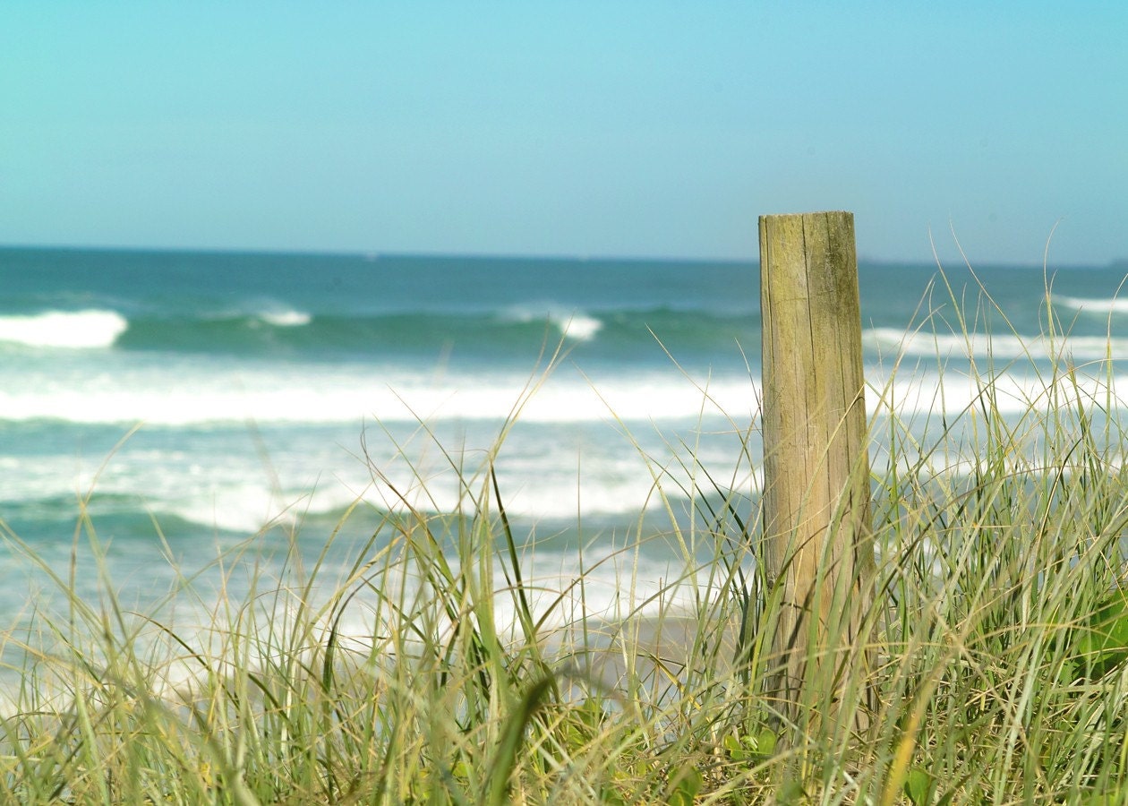 Timber post on the dunes at Peregian Beach, Australia