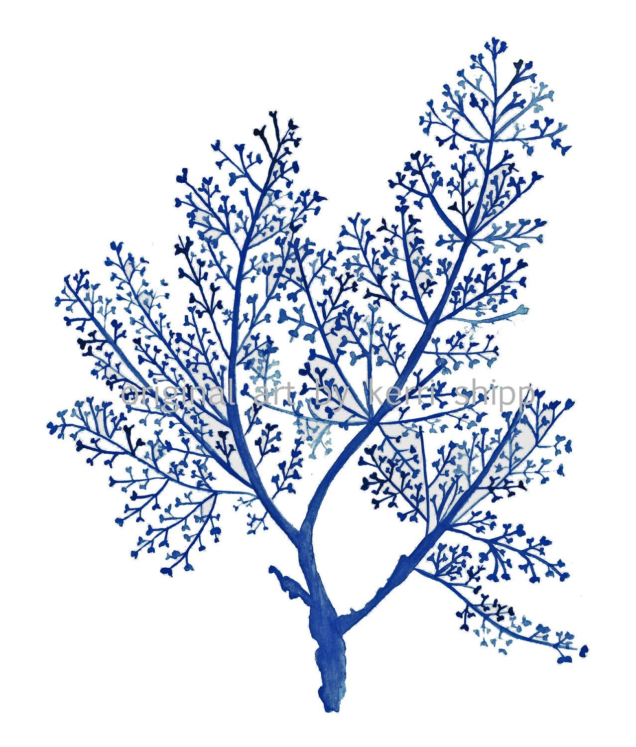 Sea Fern in Denim Print- driftwoodinteriors