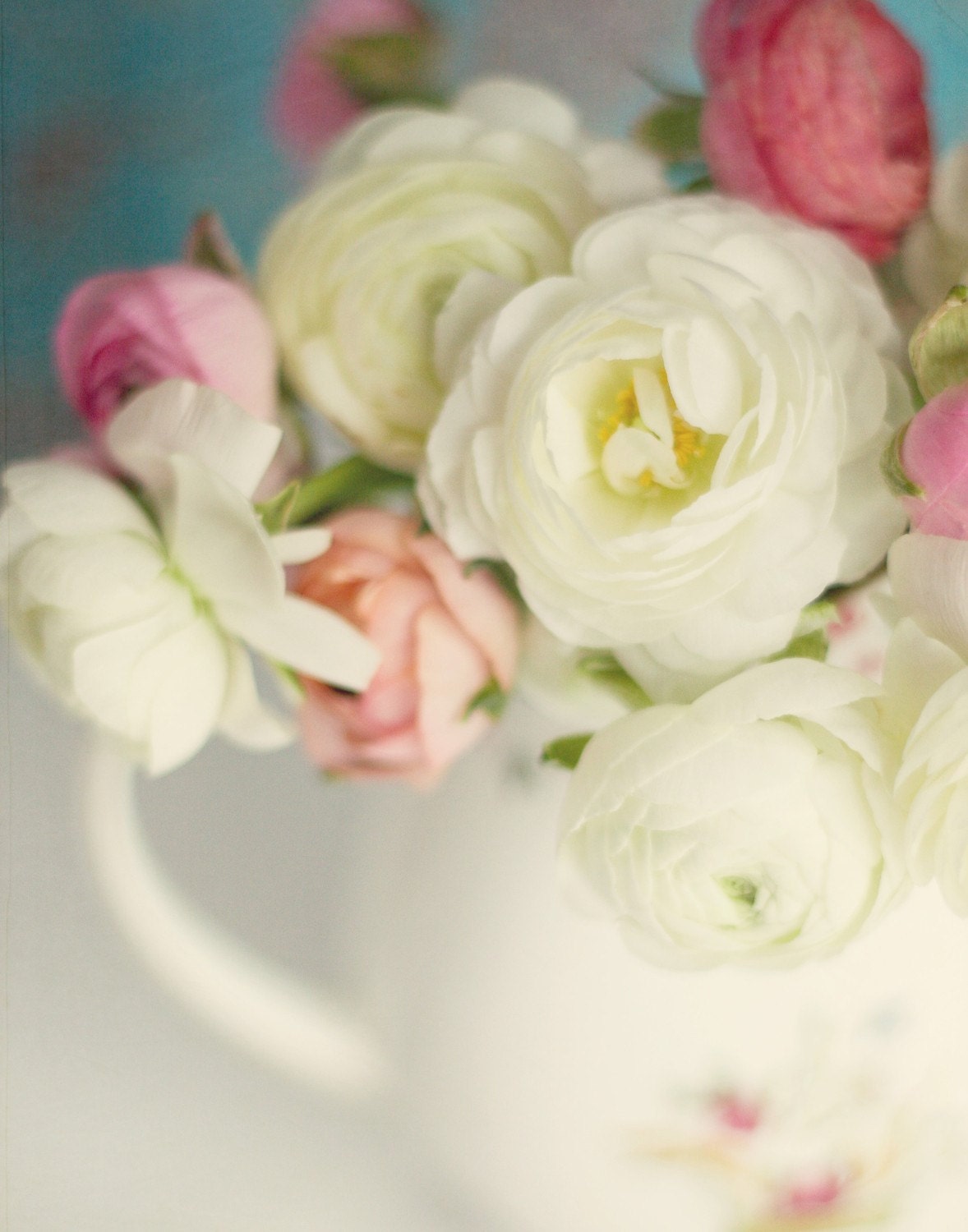 Beauty, 11x14 fine art print of white and pink ranunculus in a cream pitcher