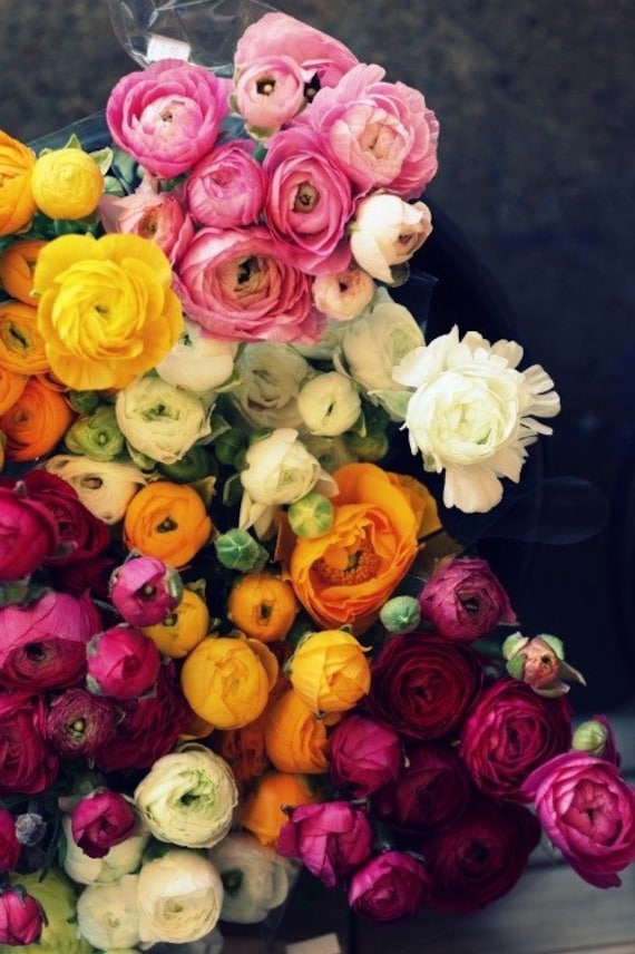 ranunculus