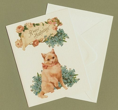 Victorian Cat Birthday Card - Stop and smell the flowers, Just don't eat them too