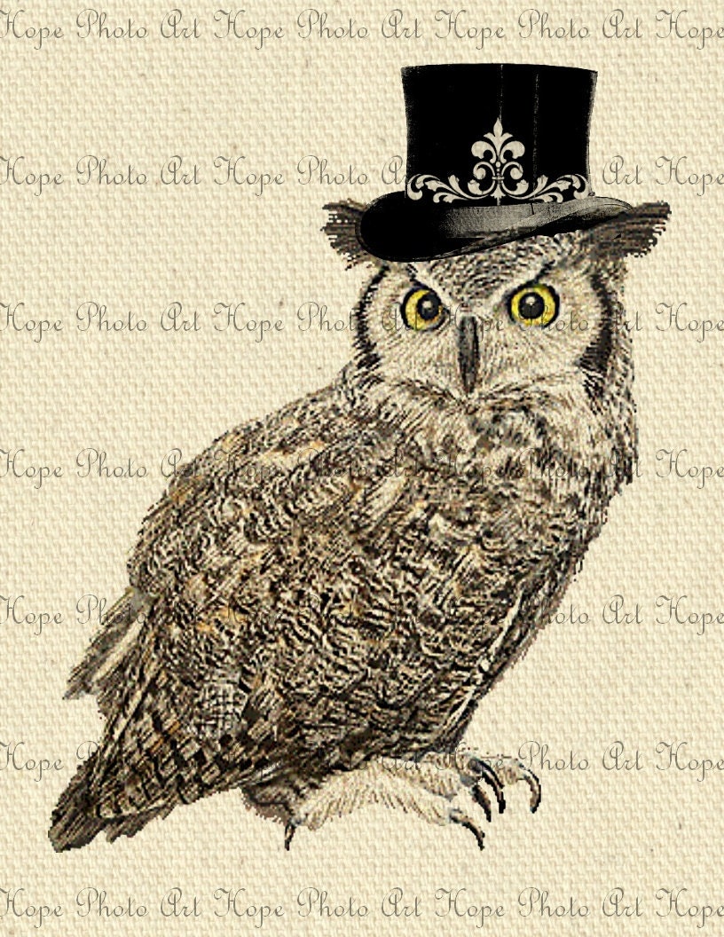 Black Top Hat Owl 8.5x11Image Transfer Collage - Burlap Feed Sacks Pillows Tea Towels greeting cards paper supplies- U Print JPG 300dpi