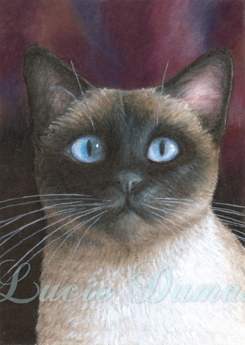 ACEO art print Cat 548 Siamese, painting by Lucie Dumas