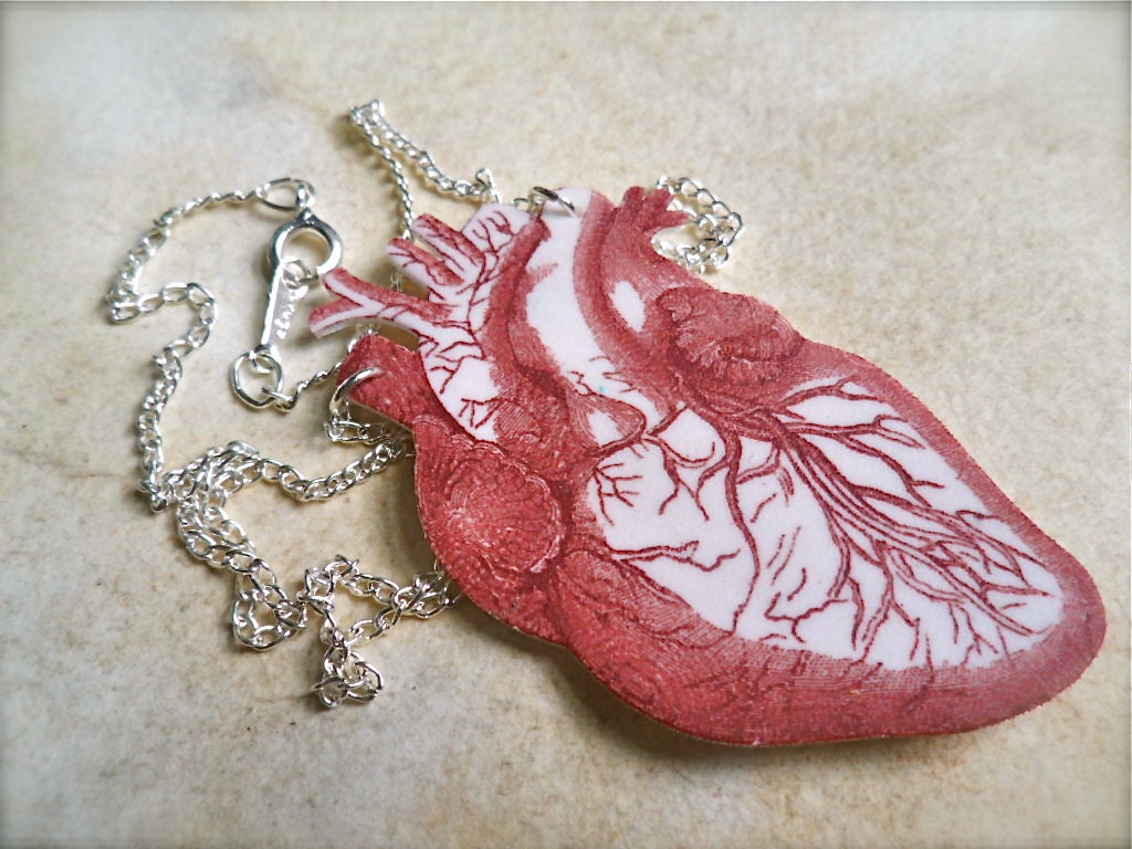 blood red anatomical human heart necklace