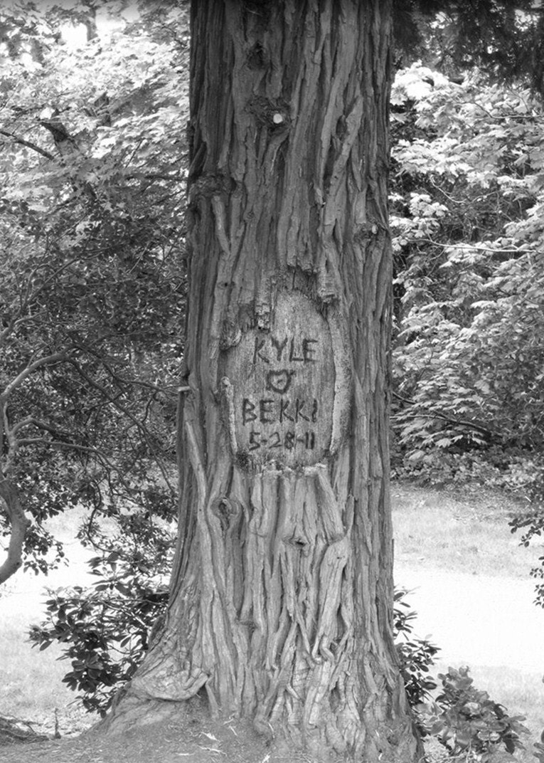 Personalized Tree Carving on Photo - Standing  Tall- (JPEG) image for you to print