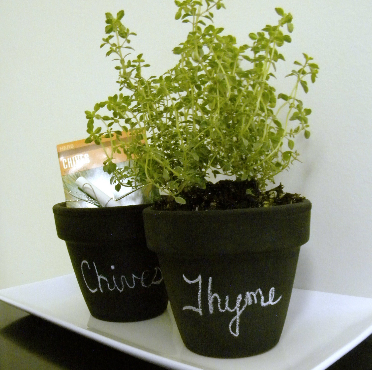 4'' Chalkboard Herb Pot