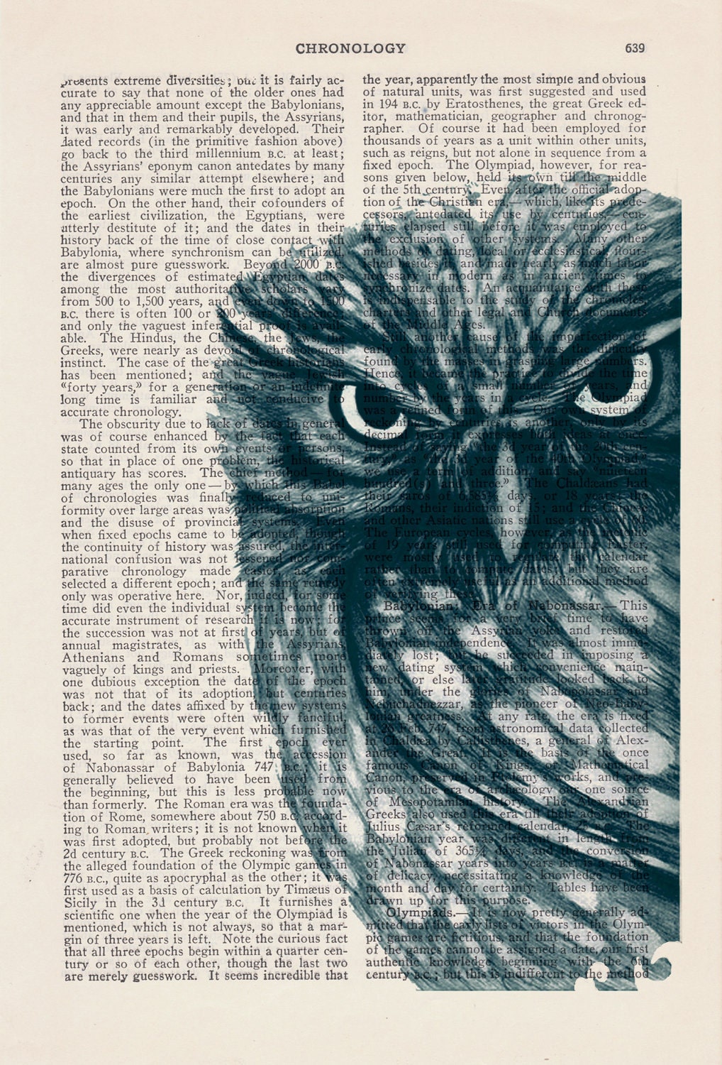 Owl Dictionary page book art print Dark Blue Owl Print on Vintage Book  dictionary page illustration book print art