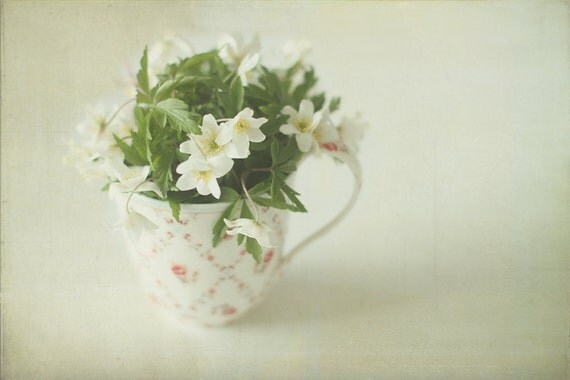 Ghost of spring, signed pastel photograph, 8 x 5