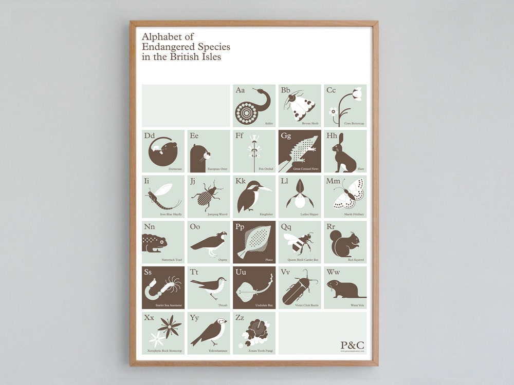 Alphabet of Endangered Species in the British Isles