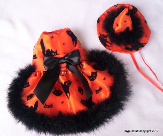Halloween Witch costume for cats with black maribou trim Halloween Witch costume for cats with black maribou trim