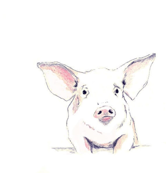 Free Shipping - Pig Art Print - Some Pig
