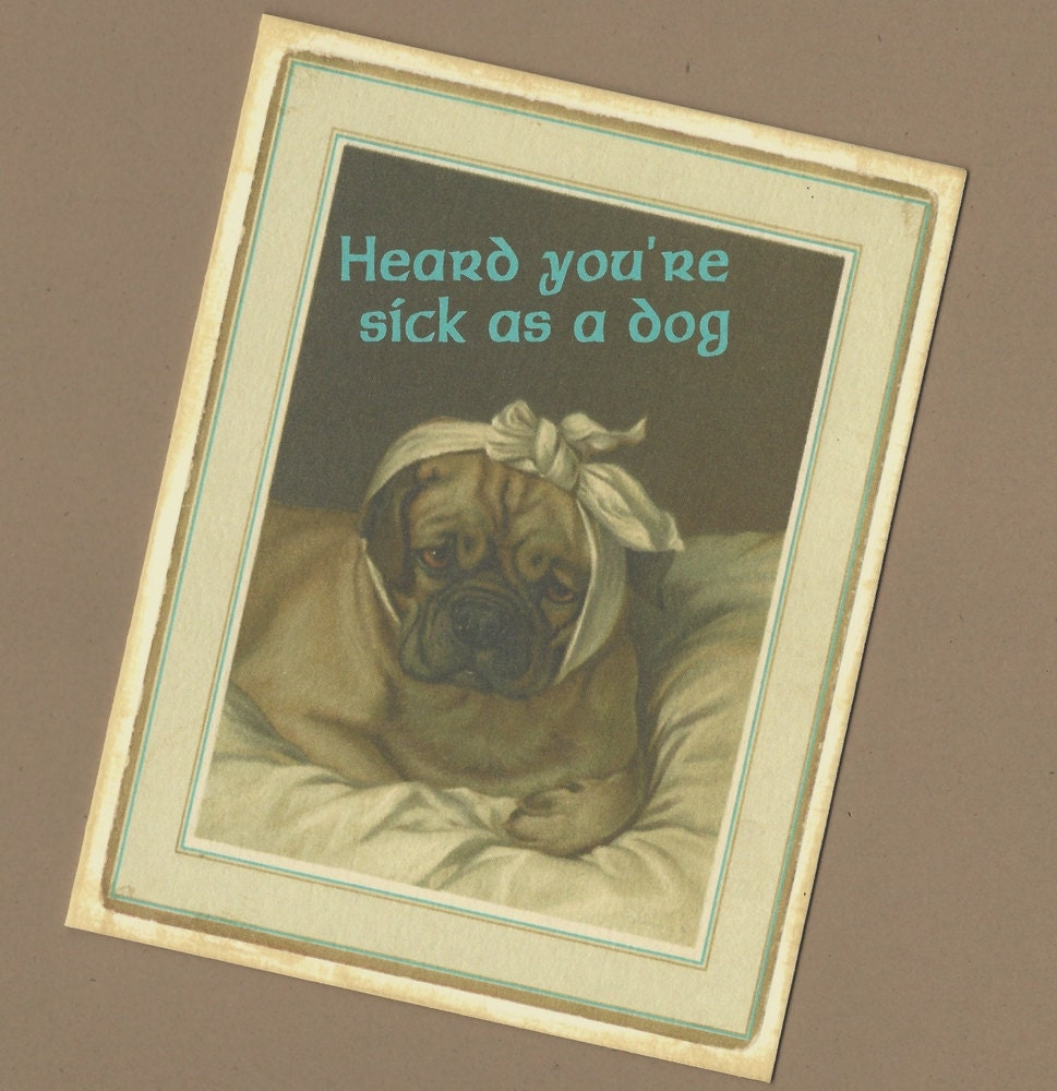 Get Well Soon, Sick As A Dog, Get Well Card