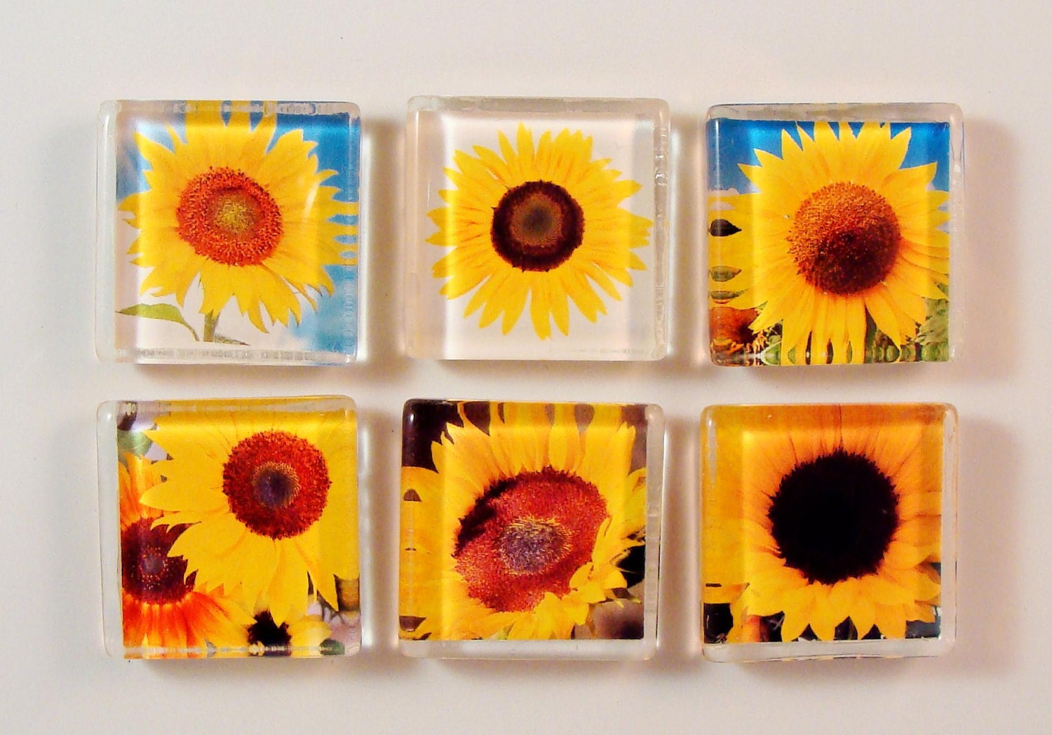 FALL SUNFLOWER MAGNET glass set of six 1 inch square with rare earth neodymium magnet