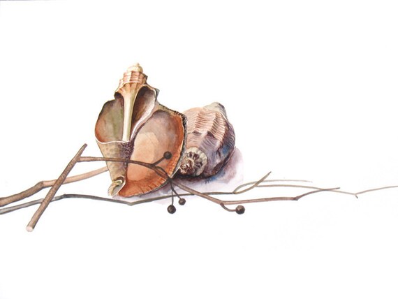 Rustic Painting Still Life Original Watercolor - Sea Shells