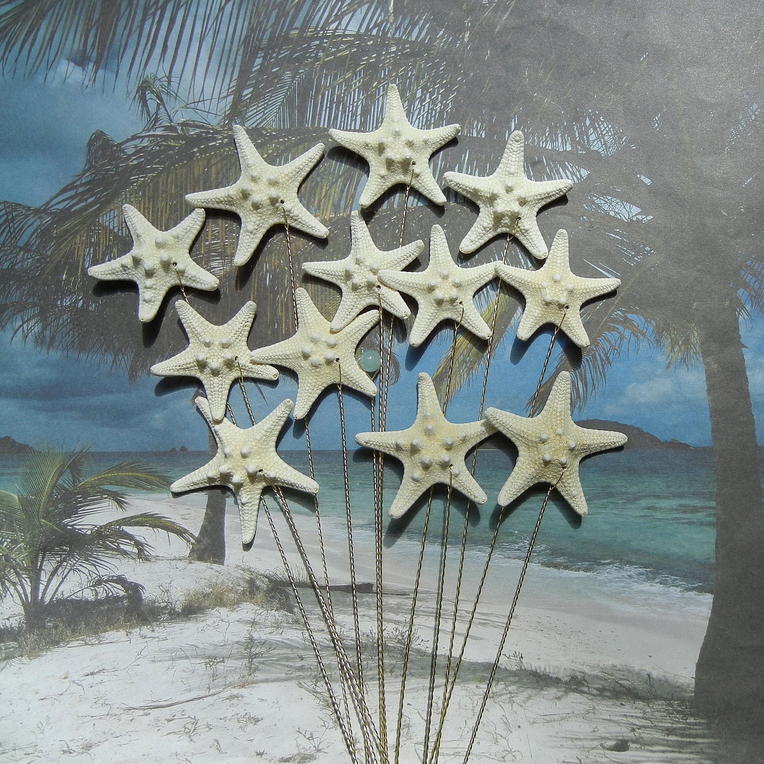starfish wedding bouquets