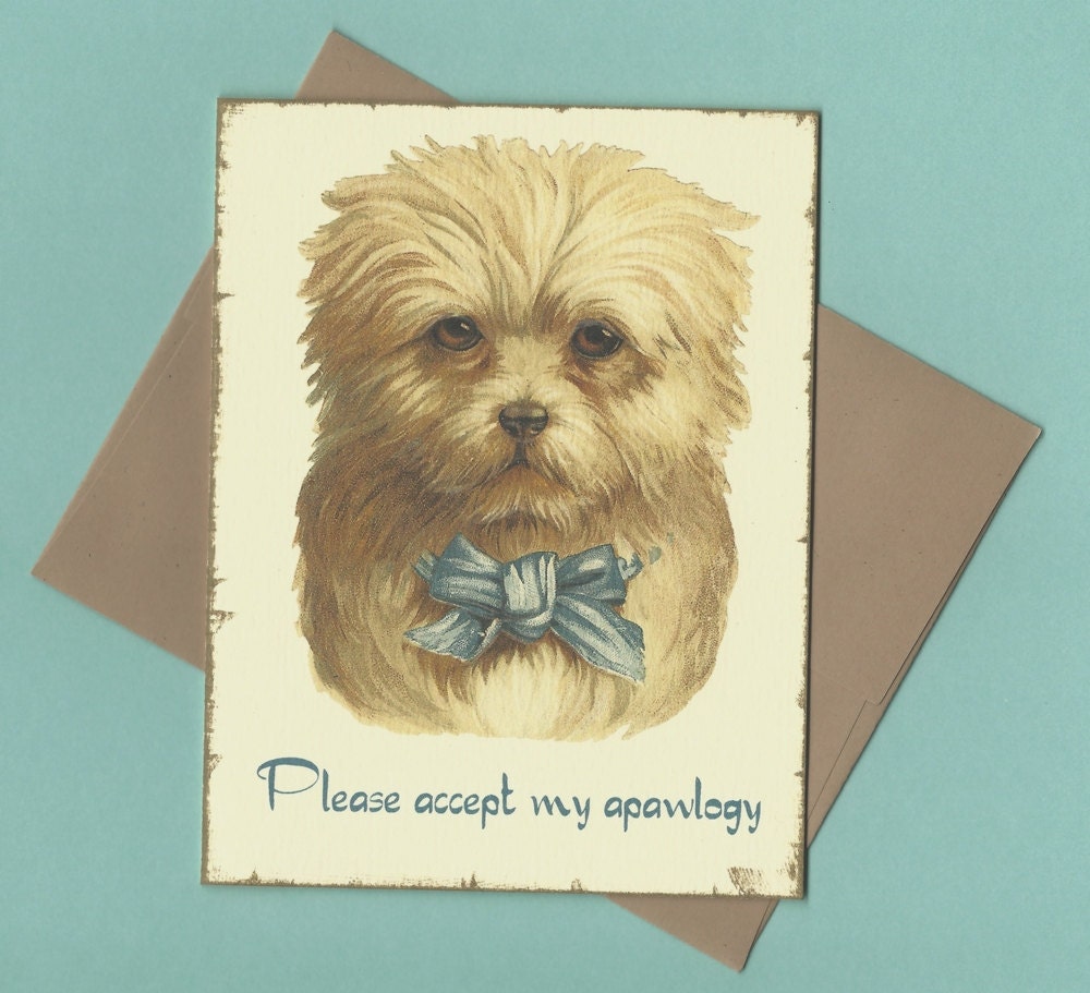 Apology Card, I'm Sorry Card