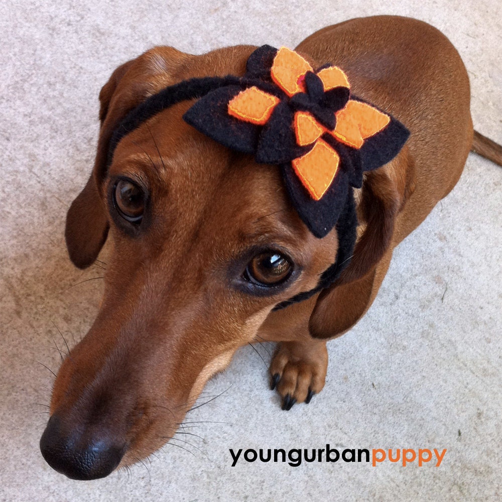 Halloween Neon Orange and Black Flower or Collar Tie for Dogs