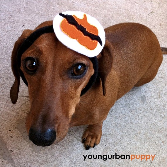 Halloween Neon Orange and Black Flower or Collar Tie for Dogs