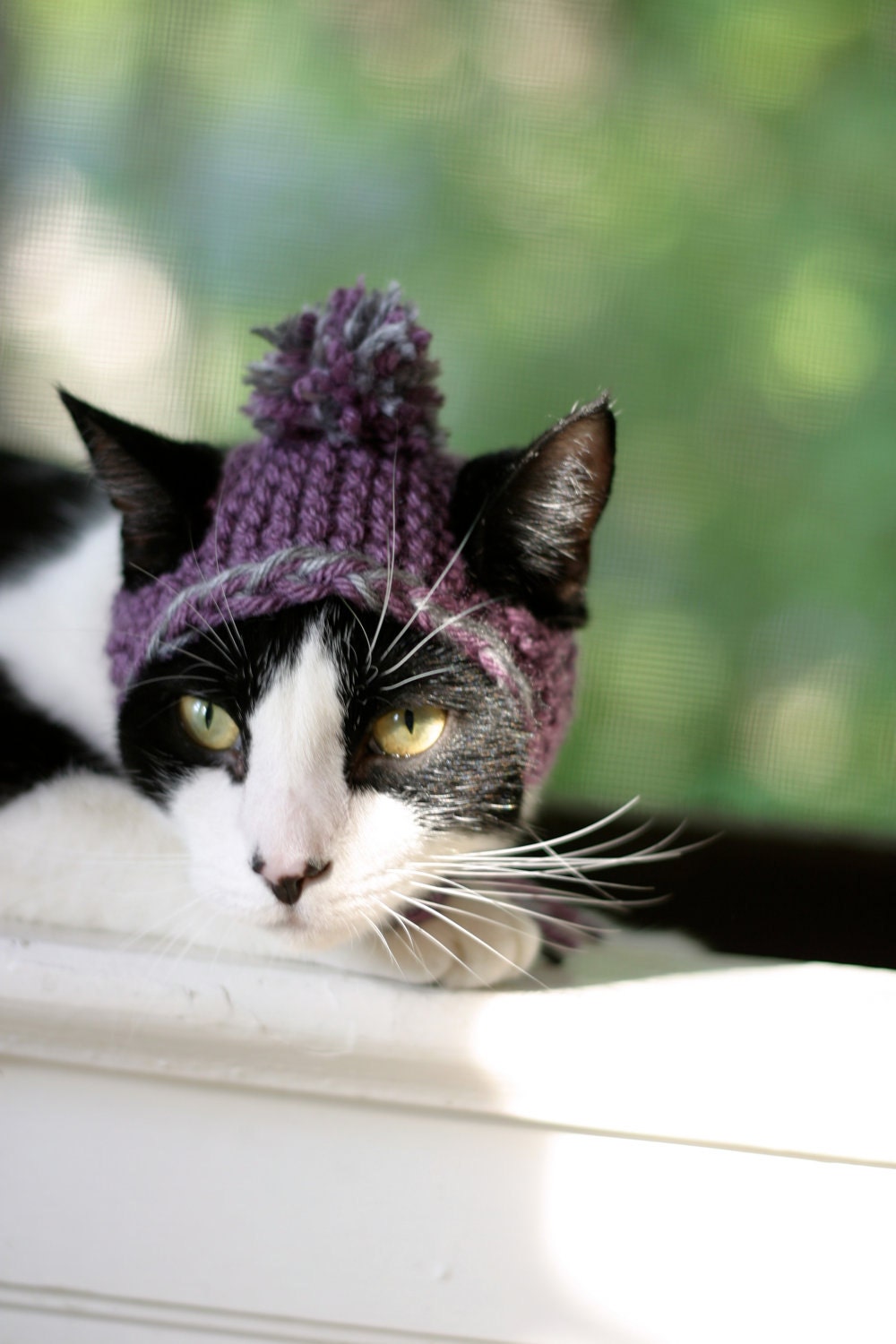 Earflap Cat Hat in Purple and Grey