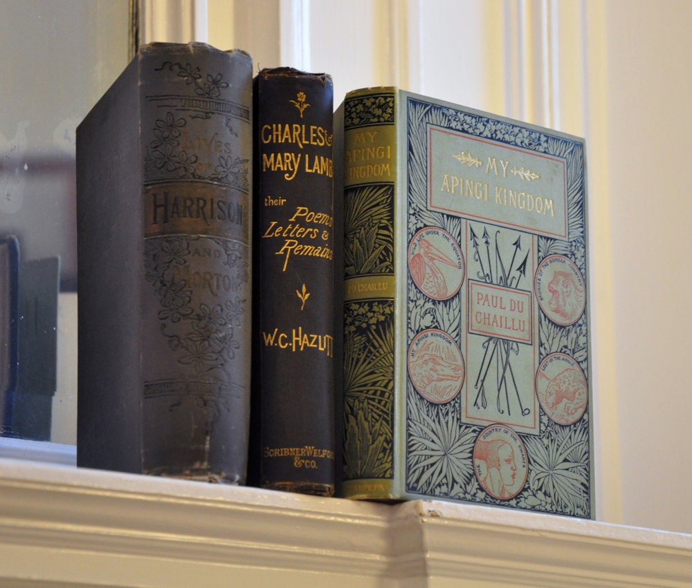 Set of 3 Vintage Rare Books with Beautiful Illustrated Bindings, 1870s - 1880s