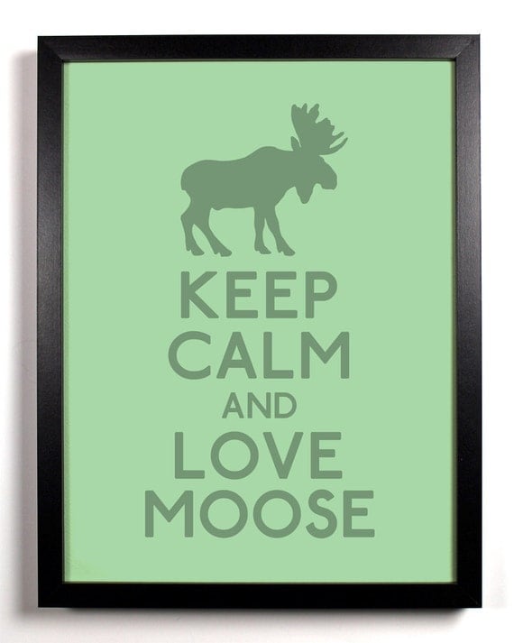 Keep calm and love moose