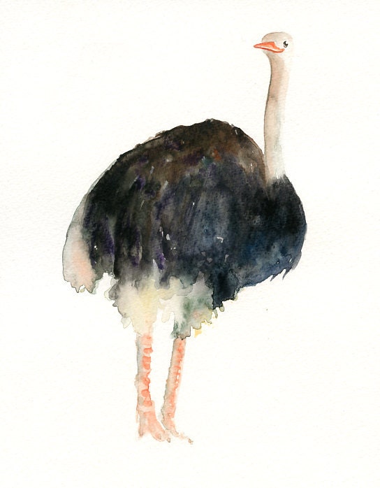 OSTRICH by DIMDI Original watercolor painting 8x10inch