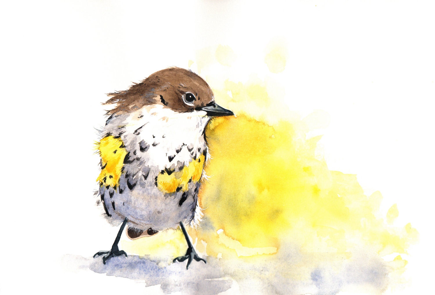 Bird Watercolor  - Archival Print of watercolor painting