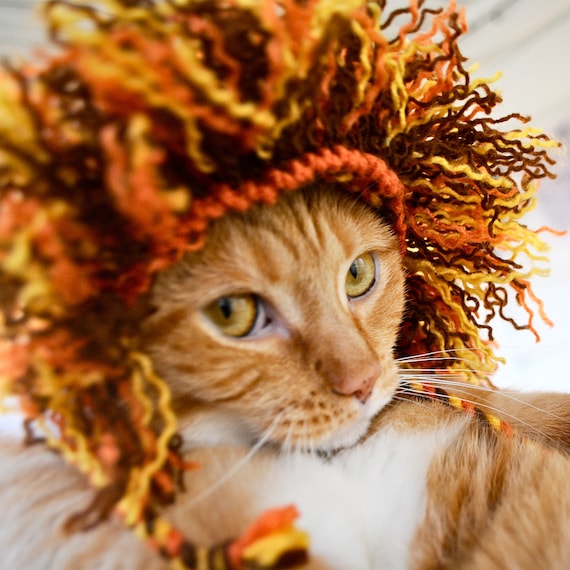 lion halloween costume for cat lion halloween costume for cat