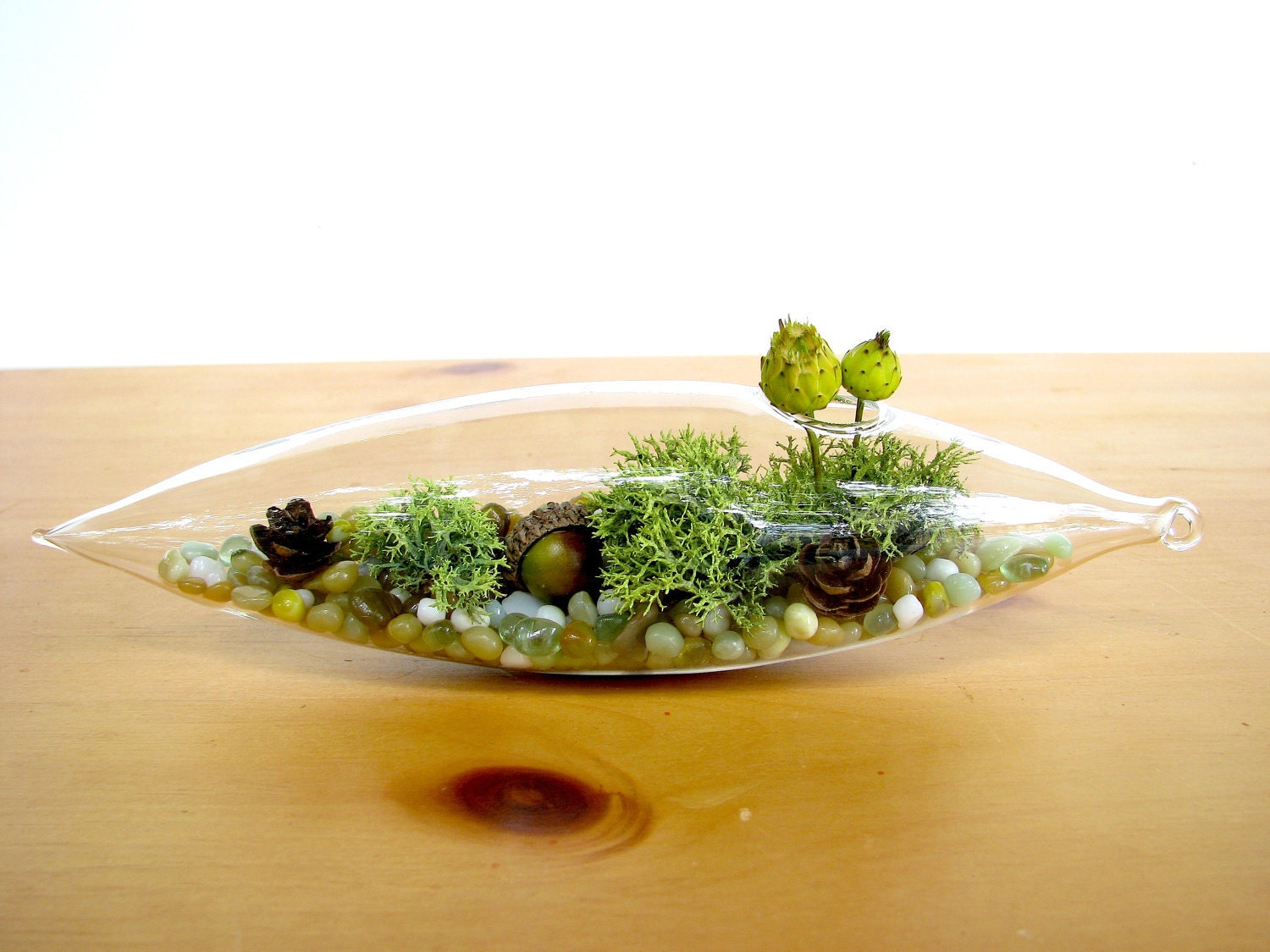Pretty Little Lichen Vessel Terrarium