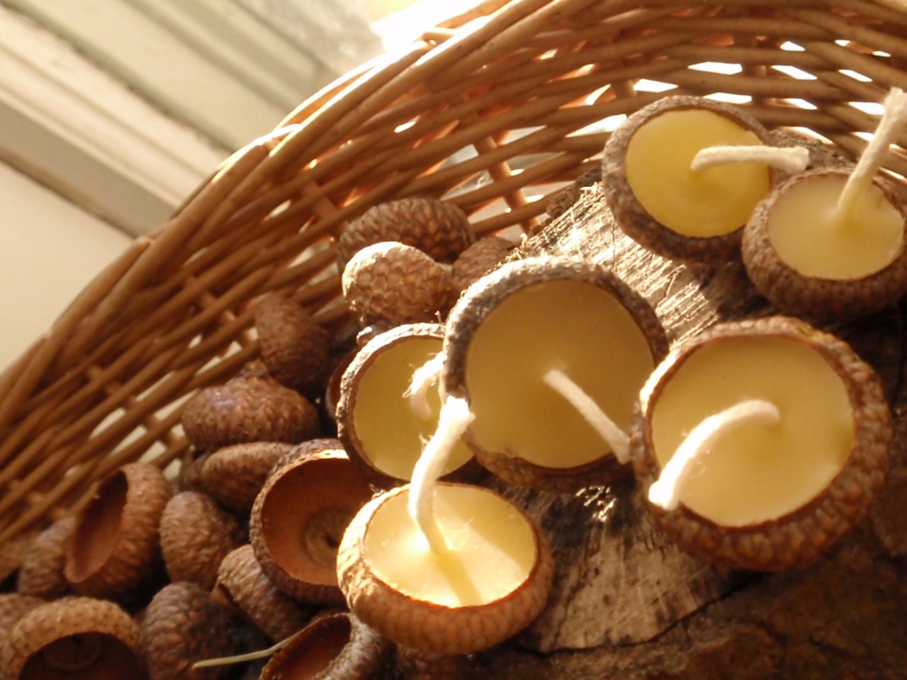 Acorn cap candles - woodland /the littlest lights/ floating candles