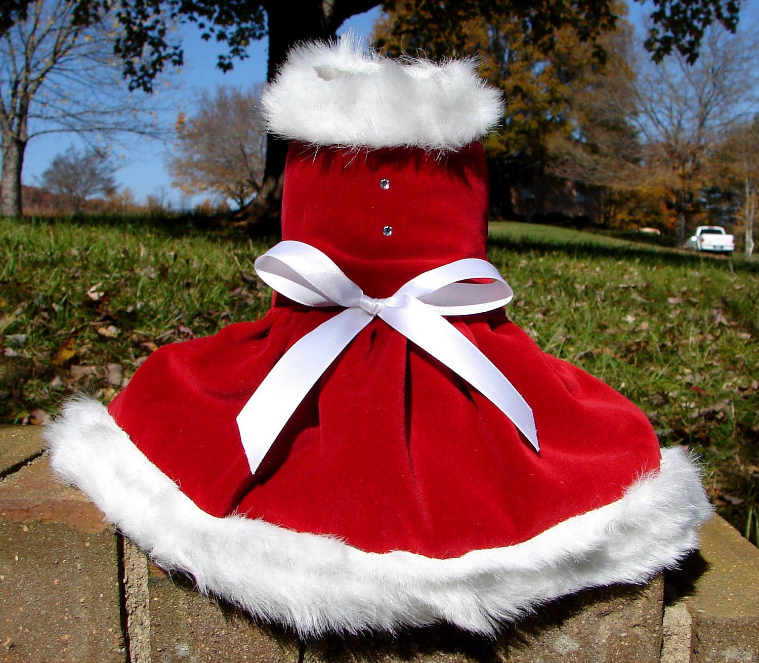 Christmas Holiday Red Velvet Fur Dog Dress