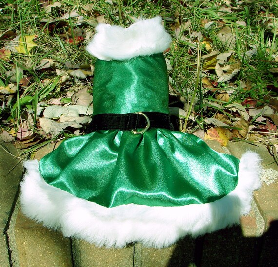 Santa's Little Helper Suit