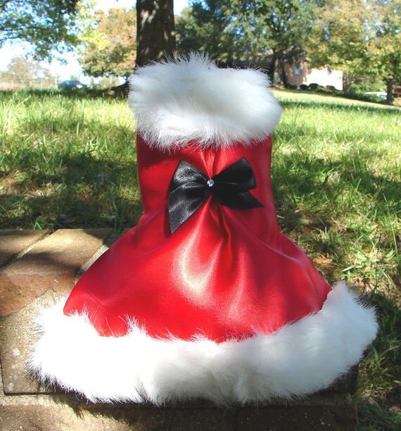 Santa Claus Coat