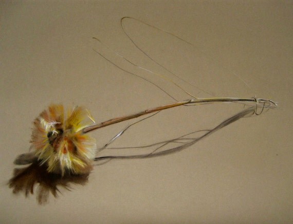 Original Nature Art, Beech Tree Seed Pod, Pastels on Canson Paper, 20 X 24 in., (Not including mat)