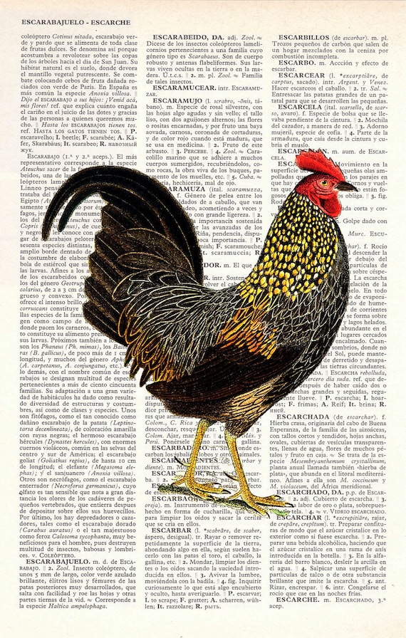 Chicken Book print  dictionary Print on Vintage Dictionary Book altered art dictionary page illustration book print art