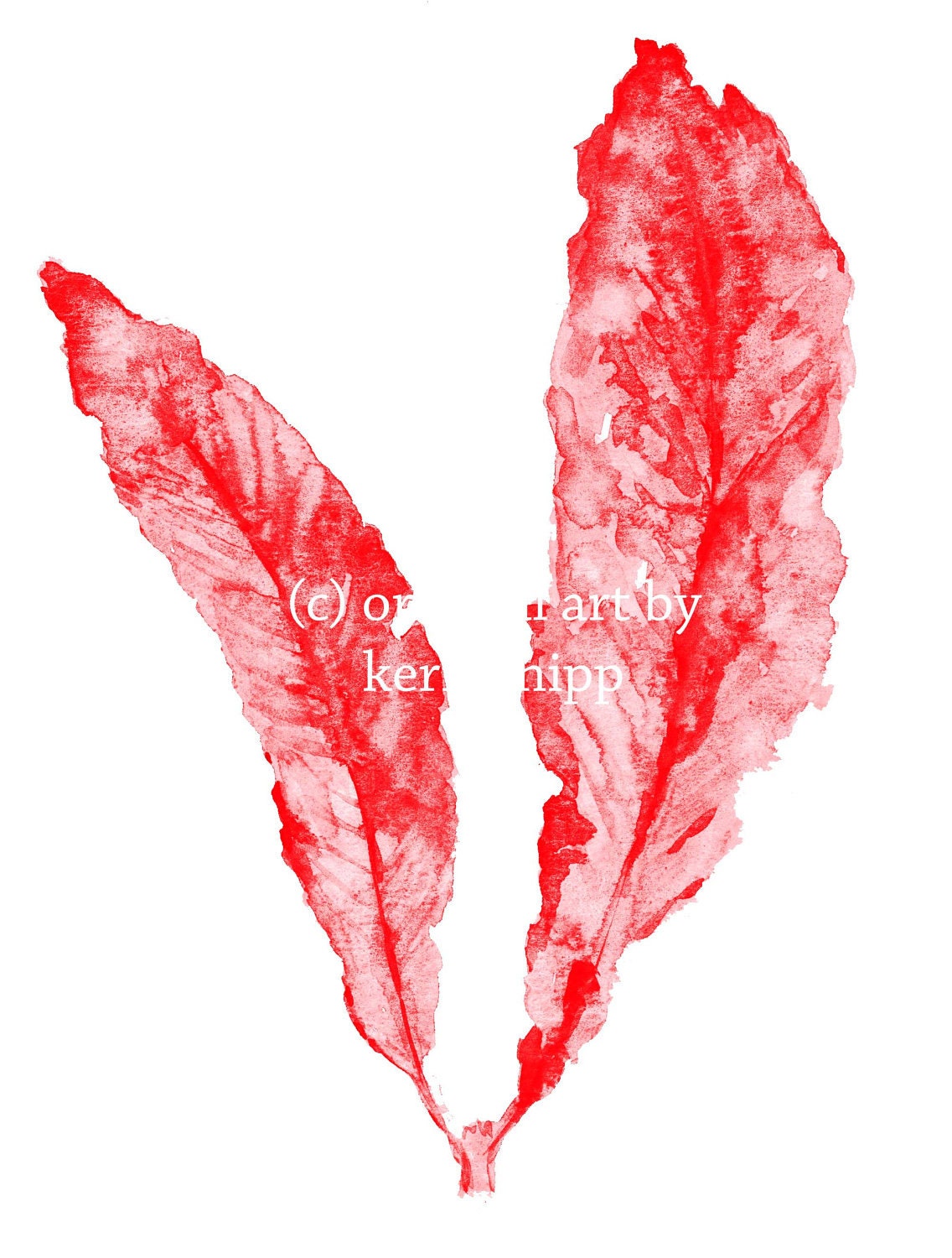 Sea Fan in Ruby- driftwoodinteriors