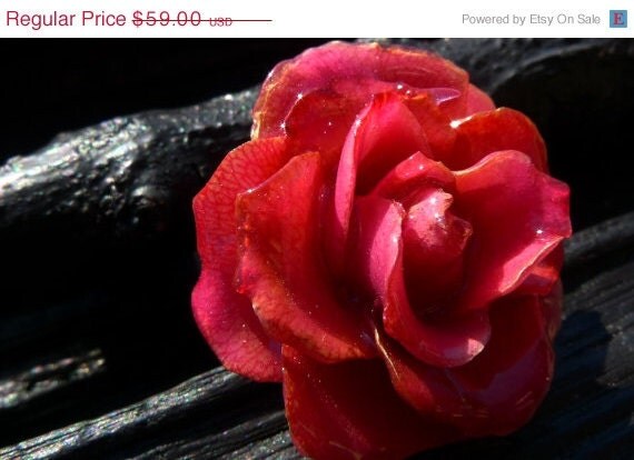 50 OFF SALE preserved Rose Ring by Beijo Flor by BeijoFlor on Etsy from etsy.com