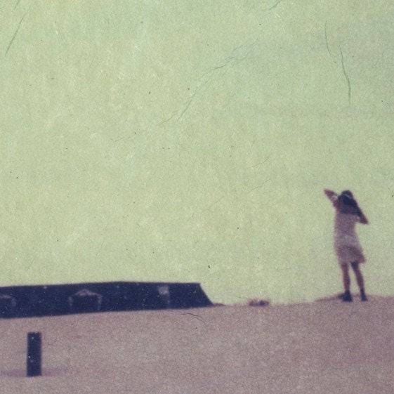 The Ever-Moving Island, 2008