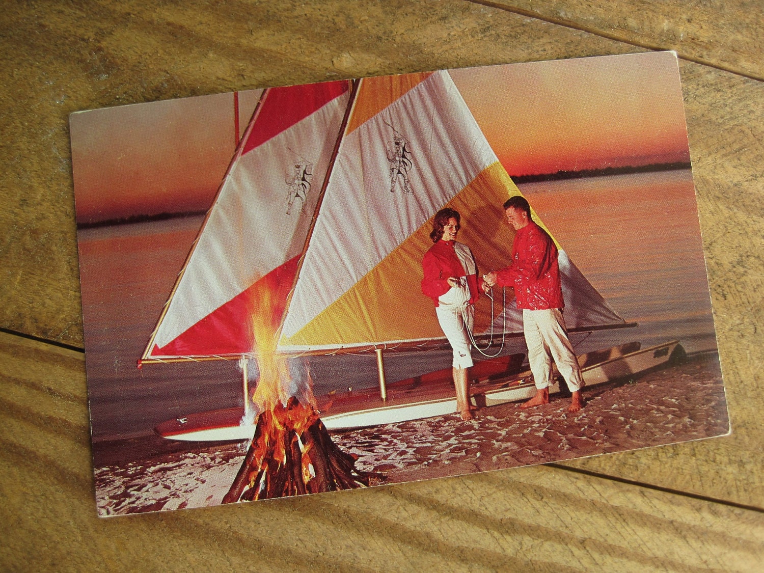 Sunfish nieuwsfoto