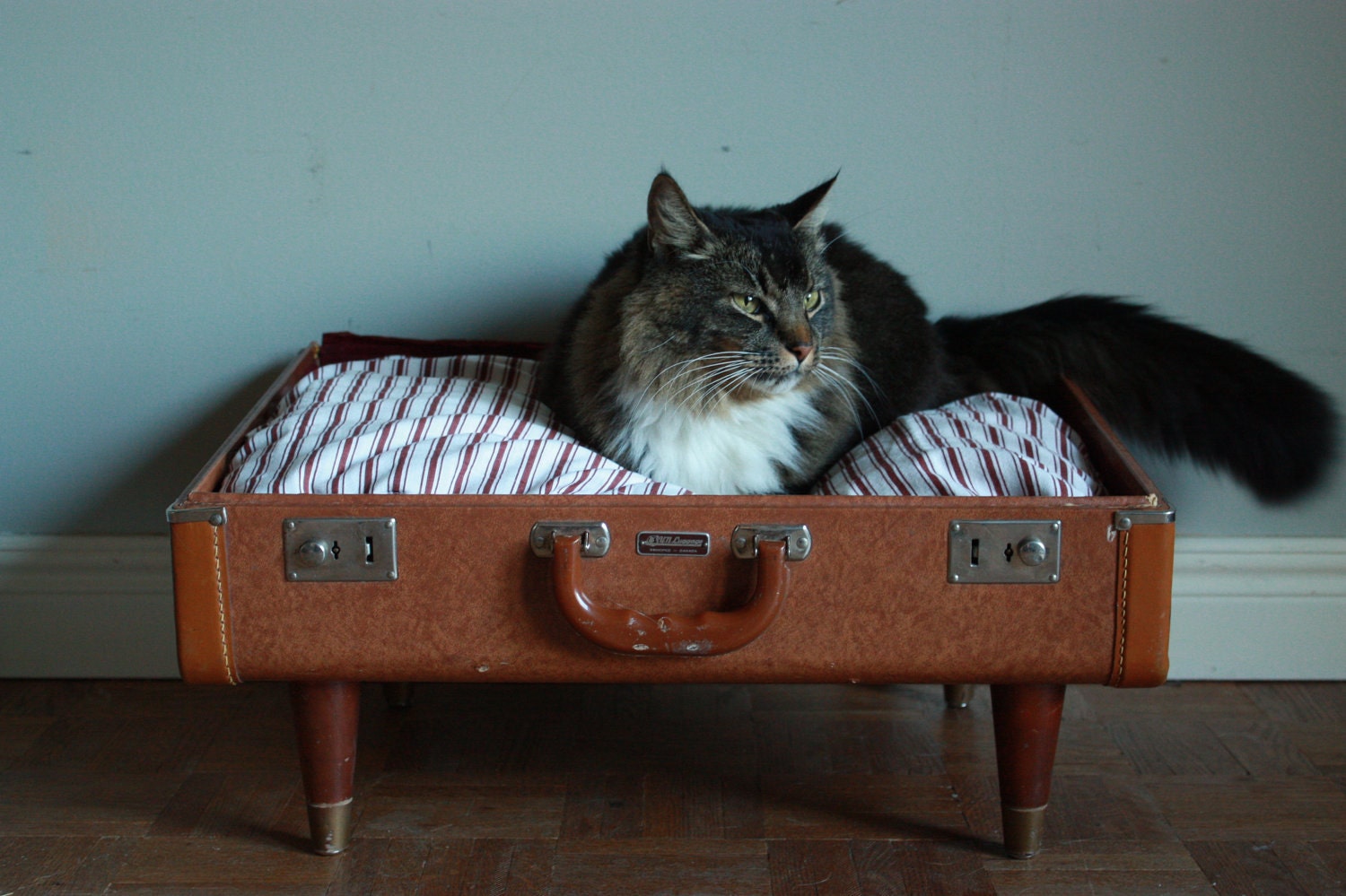 suitcase cat bed suitcase cat bed