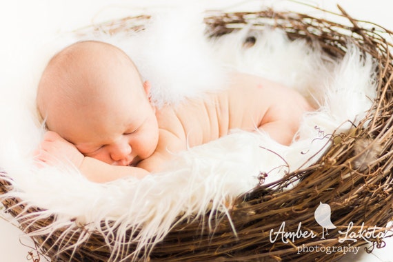 Birds nest photography prop "Light Feathers"