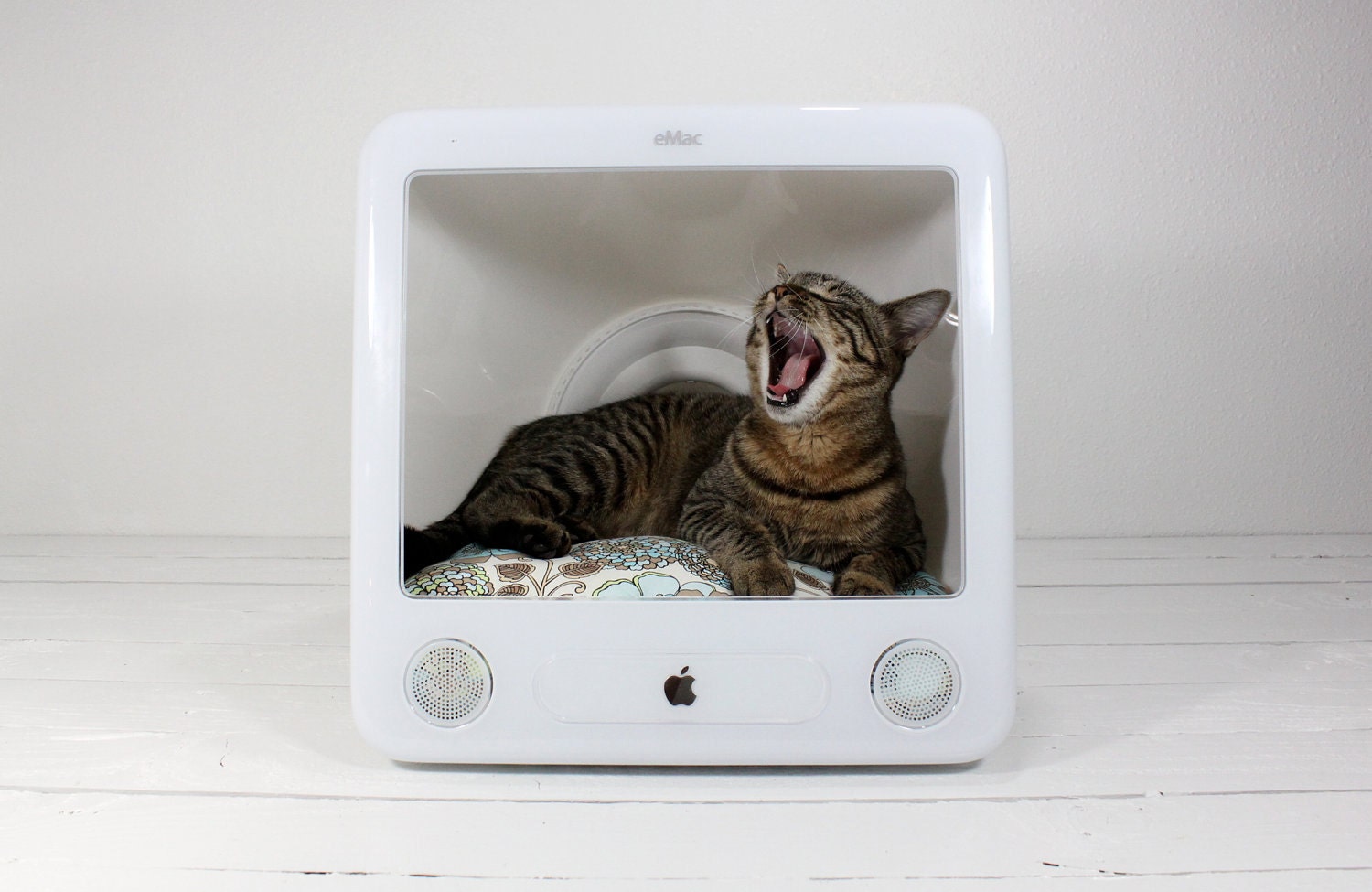 Upcycled Apple Computer Pet Bed