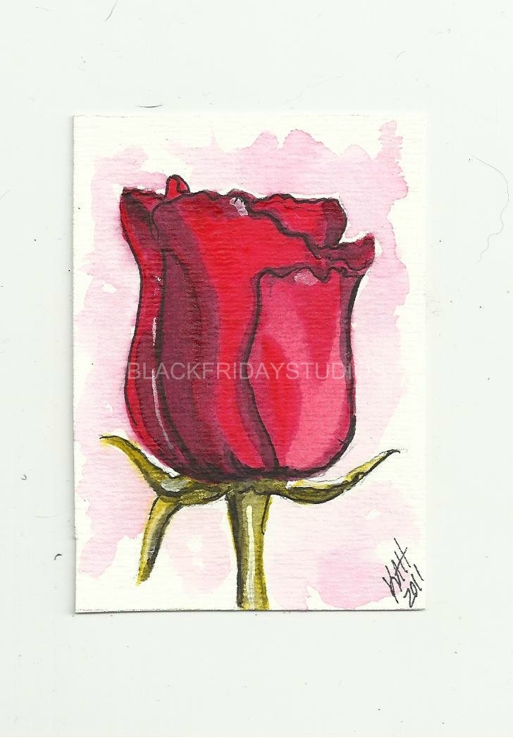 Art Red Rose Original Art Card