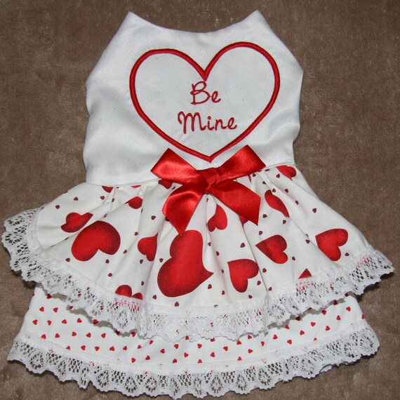 Valentine's Day dress for cats and dogs