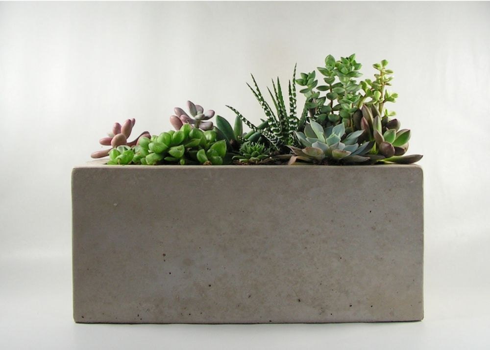 concrete planter