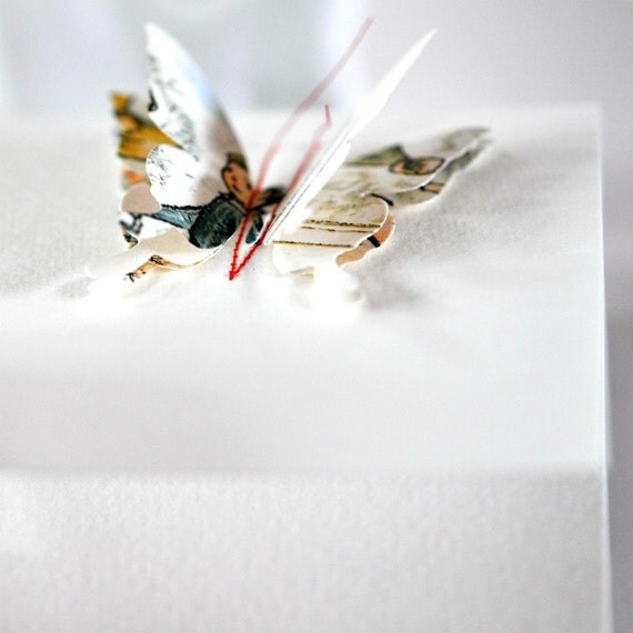 Gift Card Vintage Storybook Boy 3D Butterfly