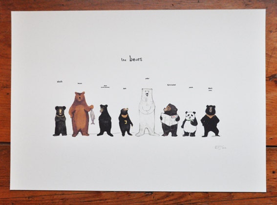 the bear family in colour print